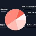 Airdrop Allocation Explained