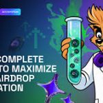 How To Maximize Airdrop Allocation